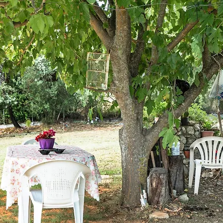 Διαμέρισμα Spyros Βαλεριάνος